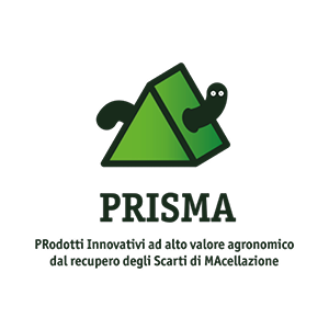 logo progetto Prisma