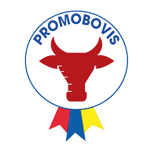 logo progetto Promobovis